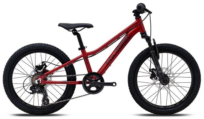 Велосипед Polygon Relic 20 - фото 2