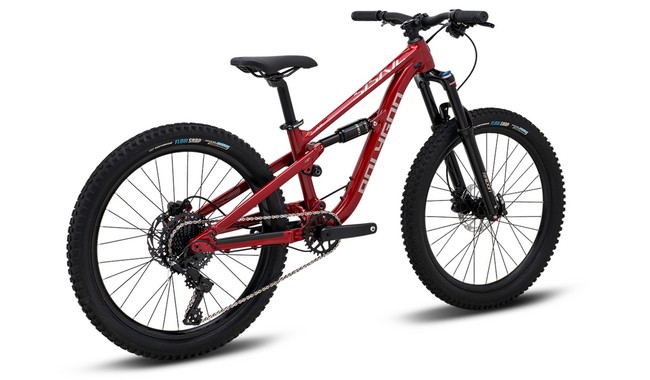 Велосипед Polygon Siskiu D24 - дополнительное фото 1