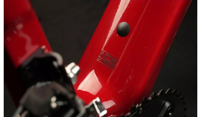 Велосипед Polygon Tambora A5 - дополнительное фото 6