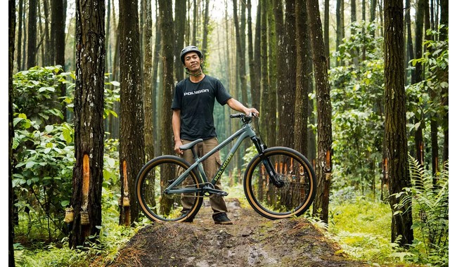 Велосипед Polygon Trid - дополнительное фото 3