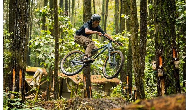 Велосипед Polygon Trid - дополнительное фото 4