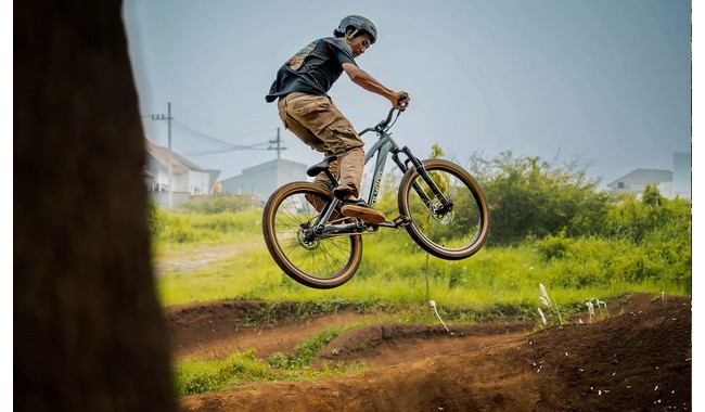 Велосипед Polygon Trid - дополнительное фото 5