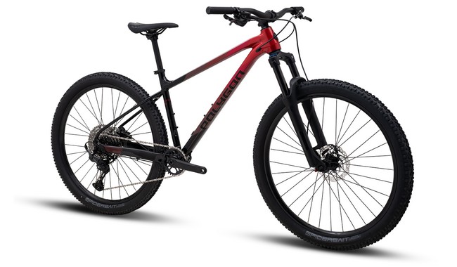 Велосипед Polygon Xtrada 6 29" - дополнительное фото 1