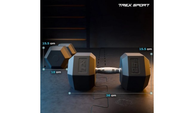 Ганель Trex Sport TX-250RD 25 кг - дополнительное фото 1