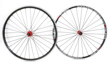 Вилсет Marchisio Solida GTX 120