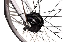 Электровелосипед Titan Palermo - дополнительное фото 2