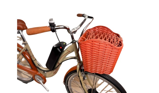 Электровелосипед Titan Verona - дополнительное фото 3