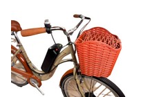 Электровелосипед Titan Verona - дополнительное фото 3