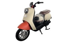 Електроскутер E-Titan Mini - дополнительное фото 10