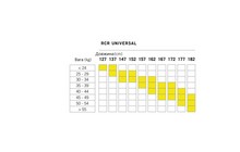 Лыжи беговые Fischer  RCR Universal Jr Set/ BDG Tour Step In - дополнительное фото 2