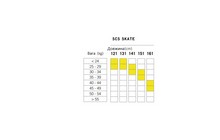 Лыжи беговые Fischer SCS Skate Jr Mounted - дополнительное фото 2